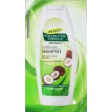 N012- Palmers Coconut Oil Formula Shampoo  7 ml.