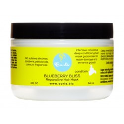 Lavish Curls Blueberry Bliss Reparative Hair Mask